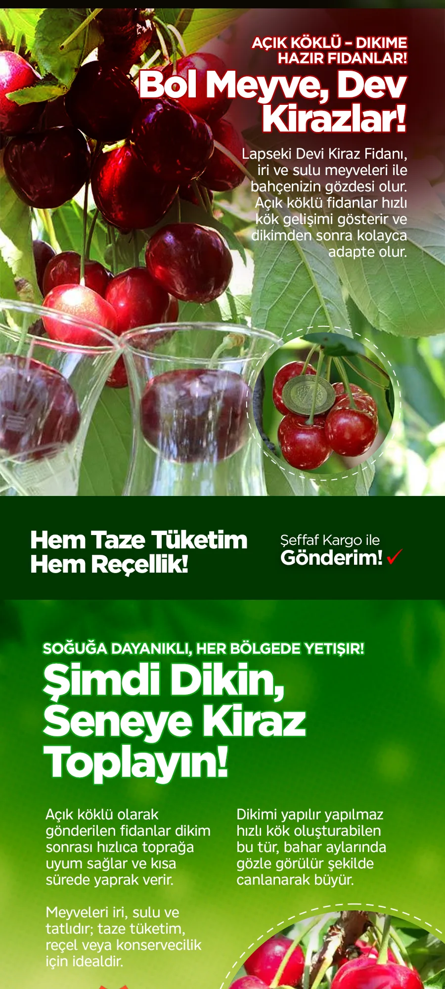 lapsekidevikiraz.jpg 2