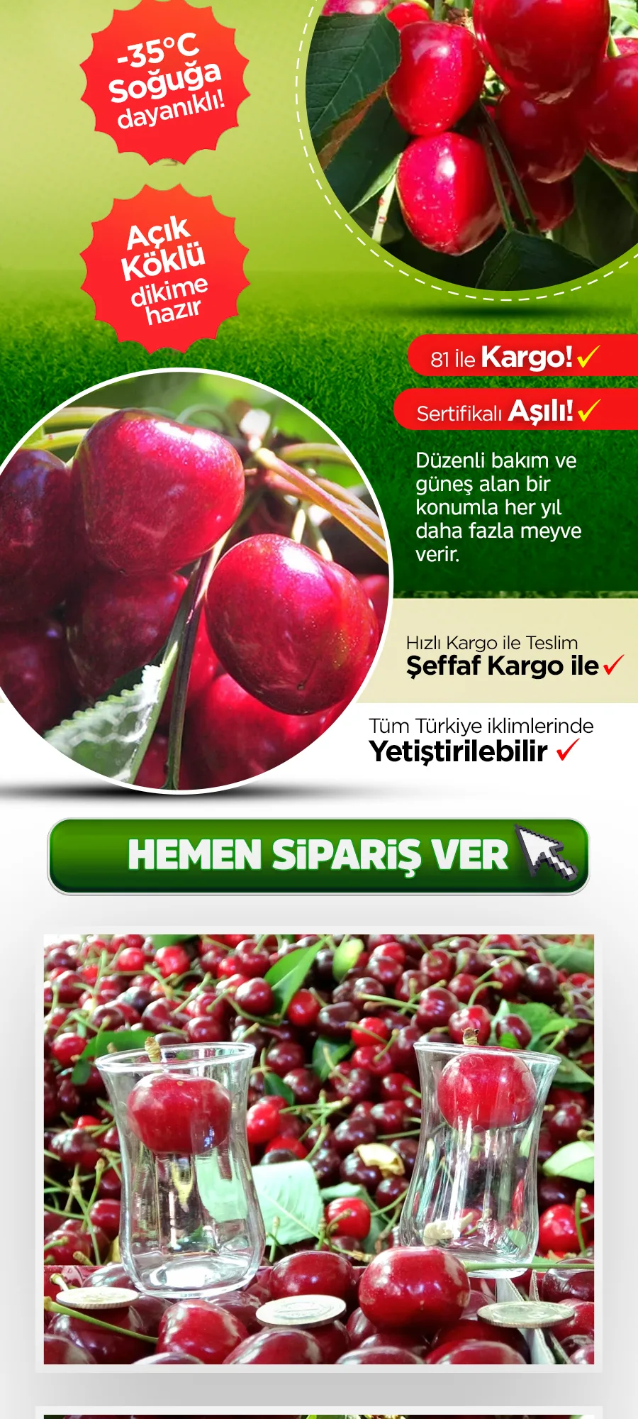 lapsekidevikiraz.jpg 3