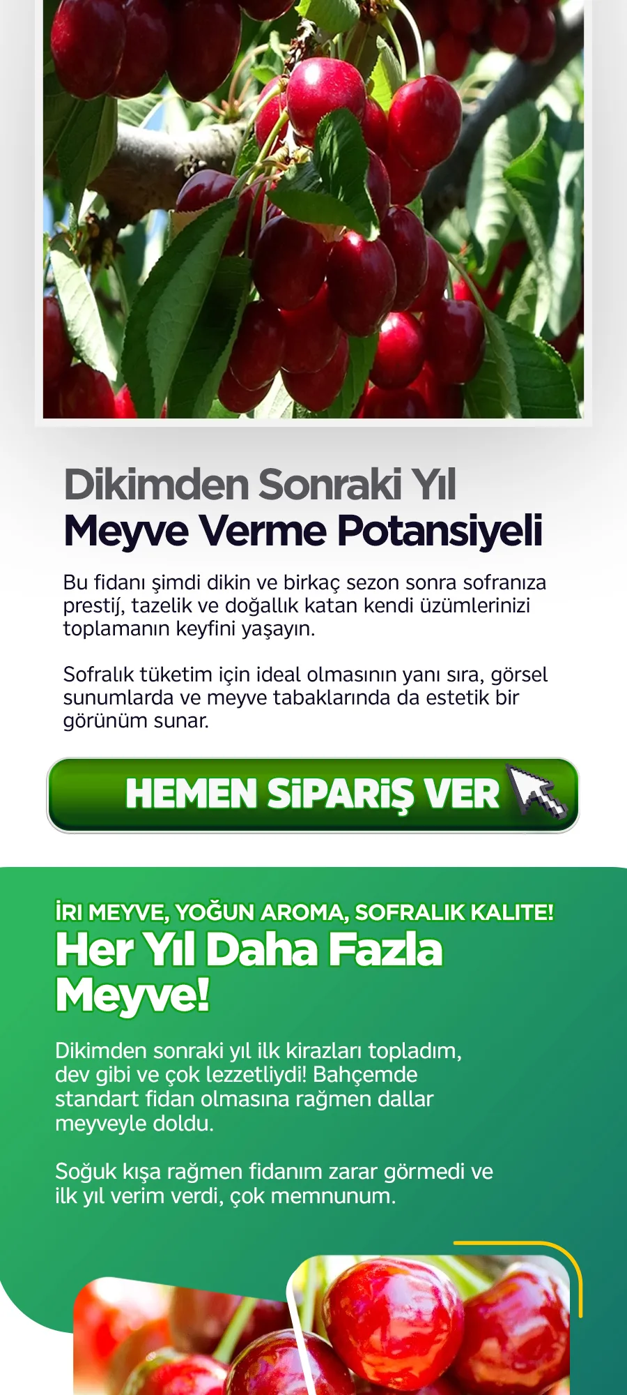 lapsekidevikiraz.jpg 4