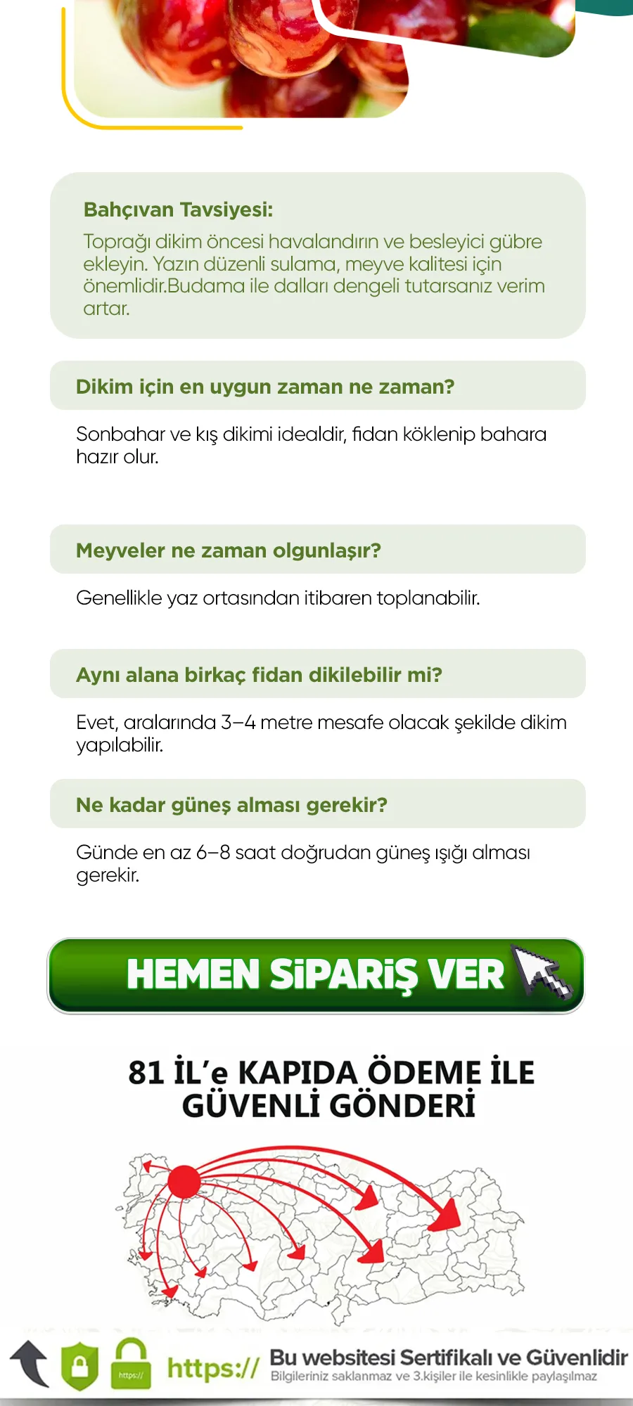 lapsekidevikiraz.jpg 5